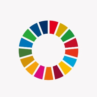 SDGsLogo-icon